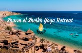 SHARM YOGA RETREAT FINAL MADDA ITA · indimenticabile a Sharm El Sheikh, Egitto. Ti aspettano giorni di profonda immersione nella pratica dello Yoga, con una insegnante appassionante