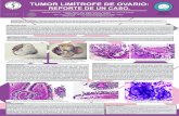 tumor limitrofe de ovario avanzadoamhmexico.com/docs/CAMH10_20 TUMOR LIMITROFE DE OVARIO (r… · HT. Laura de la Rosa5 Hospital General de Saltillo, Coahuila, México. Calle Fray