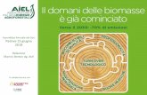 Assemblea Annuale dei Soci Padova 15 giugno 2018 · Solare Termico Geotermica Biogas ... produzione nel settore del riscaldamento e del raffrescamento, per un sistema energetico futuro