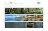 Biodiversità a rischio - natura.legambiente.it · Rapporto orso marsicano 2018: l’anno di Peppina, di Antonio Carrara, Presidente Parco Nazionale d’Abruzzo, Lazio e Molise pag.
