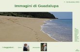 Immagini di Guadalupa - garro · 2020-04-19 · tutti gli effetti. Scordarsi l’immaginario caraibico di baracche e folklore: la gente lavora, vive bene, e ha uno stile di vita europeo.