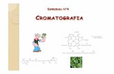 Esercitazioni Organica Cromatografia - Roma Tre Universityhost.uniroma3.it/centri/cisdic/laboratorio_chimica_organica... · Il termine CROMATOGRAFIA indica una serie di metodi analitici