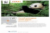 PROGETTO DI PROTEZIONE DEL CLIMA I fornelli proteggono i ... · Il panda gigante passa le sue giornate mangiando bambù. Ma le foreste in cui vive vengono sfruttate dalla popolazione