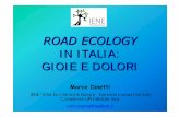 IN ITALIA: GIOIE E DOLORI - isprambiente.gov.it€¦ · Iniziative in Europa IENE è Infra Eco Network Europe, rete di collaborazione internazionale sul tema della frammentazione