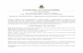 COMUNE DI CAPOTERRA€¦ · COMUNE DI CAPOTERRA Provincia di Cagliari Via Cagliari, 91 – 09012 Capoterra (Cagliari) Codice Fiscale n. 80018070922 – Partita Iva n. 00591090923