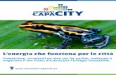 L’energia che funziona per le città - Covenant capaCITY · L’energia che funziona per le città Formazione, strumenti ed idee per far partire, realizzare o migliorare il tuo