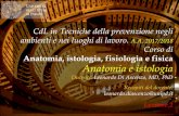 Anatomia, istologia, fisiologia e fisica Anatomia e istologia Apparato tegumentario: introduzione 4