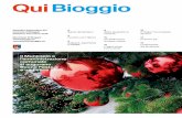 Qui Bioggio Bioggio_web.pdf · 2019-01-20 · Qui Bioggio 3 Saluto del Sindaco 4 Incontro con i 18enni 5 Südpack, esperienza e solidità 13 Il “Cigno” ha compiuto 25 anni 14