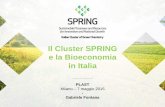 Il Cluster SPRING e la Bioeconomia in Italiaassobioplastiche.org/.../ricerche/FONTANA-7.5.2015.pdf2015/05/07  · Attività 2015 Matching tra proposte ed esigenze degli associati per