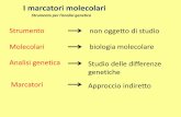 I marcatori molecolari€¦ · I marcatori genetici Marcatori morfologici - caratteri mendeliani (colore della cariosside, forma della foglia, presenza assenza di corna) Problemi: