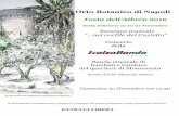 nel cortile del Castello” - Naples Botanical Garden · 2016-11-15 · Festa dell’Albero 2016 Orto Botanico di Napoli - Sesta Edizione 19-20-21 Novembre Rassegna musicale “…nel