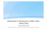 5 Biosensori 3 - Daniele Mazzei · e il cDNA marcato rispettivamente con Cy3 (verde) e Cy5 (rosso) • Controllo e campione vengono uniti in un’unica miscela di ibridizzazione e