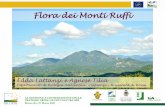 Flora dei Monti Ruffi - LIFE Ricopri · Flora . Entità nuove per la regione nel corso della ricerca: Thymus glabrescens. subsp. decipiens (Heinr. Braun) Domin (sub . T. oenipontanus