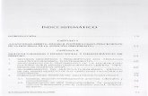SISTEMATICObiblioteca.ararteko.net/pdocs/19960_128123.pdf' INDICE SISTEMATICO ' INTRODUCCIÓN ..... ..... ..... ..... ·¡g CAPÍTULO 1 «LA SOCIEDAD ABIERTA» DE KARL R. POPPER COMO