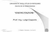 Prof. Ing. Luigi Coppola - Unibg€¦ · 24 mm e maglia 15 x 15 cm disposti a 20 mm sia dall’estradosso dell’elemento che dal terreno sul quale la fondazione appoggia direttamente.