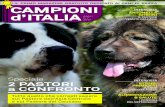 IL PRIMO MAGAZINE GRATUITO DEDICATO AI CANI DI RAZZA …€¦ · il primo magazine gratuito dedicato ai cani di razza alimentazione & salute i consigli del veterinario intervista
