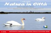 I volti della Natura in Città - Parco Mincio · i “volti” da scoprire sono quelli della straordinaria simbiosi che la città dei Gonzaga e sito UNESCO hanno con l’acqua e la