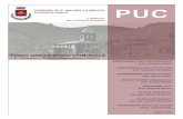 Sommario€¦ · 2 1 PREMESSA 1.1 Il Documento Strategico nel Preliminare del PUC La predisposizione del Piano Urbanistico Comunale (PUC) in Campania è disciplinata, negli aspetti