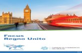 Focus Regno Unito - Camera di Commercio Udine€¦ · FOCUS REGNO UNITO 2019 OLIO Il Regno Unito importa complessivamente oltre 121 miliardi di euro in olio alimentare vegetale e