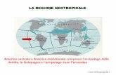 LA REGIONE NEOTROPICALE - UAGRAuagra.uninsubria.it/didattica/Biogeografia_CO-VA/lez08.pdf · Dimensioni di circa 18.2 milioni di km2. Messico - Guatemala - El Salvador - Honduras