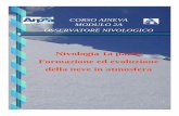 CORSO AINEVA MODULO 2A OSSERVATORE NIVOLOGICOguidealpineabruzzo.it/wp-content/uploads/2015/08/... · minuscoli cristalli di ghiaccio occorre la presenza di nuclei di congelamento