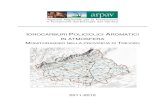 IDROCARBURI POLICICLICI AROMATICI IN ATMOSFERA · 2020-07-18 · introduzione 1 idrocarburi policiclici aromatici (ipa) 1 riesame della zonizzazione in attuazione del dl gs 155/2010