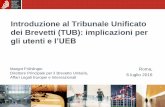 Introduzione al Tribunale Unificato dei Brevetti (TUB ... ppt Rome 6 July It… · o “Clausola Unilever” (art. 33 (2) ATUB): trasferimento di azioni pendenti dinanzi a una DR