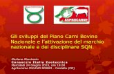 Gli sviluppi del Piano Carni Bovine · 2016-03-04 · Gli sviluppi del Piano Carni Bovine Nazionale e l’attivazione del marchio nazionale e del disciplinare SQN. Giuliano Marchesin