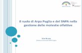 Il ruolo di Arpa Puglia e del SNPA nella gestione delle ... · Il Coordinamento è un organismo tecnico-politico istituito presso il dicastero dell’Amiente dall’art20 delDlgs