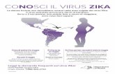 CONOSCI IL VIRUS CO SCI IL VIRUS - New York State ...CONOSCI IL VIRUS ZIKA Le donne incinte non dovrebbero recarsi nelle aree colpite dal virus Zika. Il virus potrebbe provocare danni