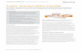 TruSeq Stranded mRNA e Total RNA - emea.illumina.com€¦ · Preparazionedellelibrerie | Sequenziamento | Analisideidati Tabella 1:SpeciediRNAmirateperlariduzione SpeciediRNAmirate