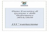 Piano Esecutivo di Gestione e delle Performance …...III^variazione Piano Esecutivo di Gestione e delle Performance 2018/2020 Premessa Parte I: Analisi delle condizioni interne Pag.