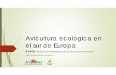 Avicultura ecológica en el sur de Europa · Avicultura ecológica en el sur de Europa AviAlter ... Italie 2 % ITAVI . Bilan des productions alternatives en Europe ... ECOLOGICA CAMPERA
