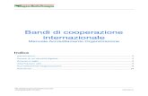 Bandi di cooperazione internazionale · Bandi di cooperazione internazionale: Accreditamento Organizzazione – manuale utente 2 Introduzione La Regione promuoe e attua inter Àenti