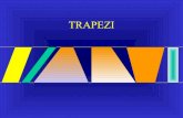 TRAPEZI · 2012-07-05 · Perciò l’Area del triangolo misura la metà di quella del rettangolo: (B x h) : 2. Perciò l’Area del triangolo misura la metà di quella del rettangolo: