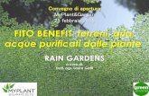 FITO BENEFIT terreni, aria, acque purificati dalle piante · Un RAIN GARDEN è un giardino o una area verde appositamente progettata e realizzata per accogliere temporanei accumuli