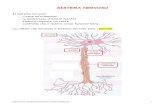 SISTEMA NERVOSO - DIDATTICAdidattica1.weebly.com/.../sistema_nervoso_str_1_.pdfIl sistema nervoso periferico è formato dai nervi che collegano il cervello e il midollo spinale ai