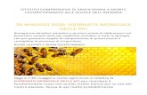 20 MAGGIO 2020: GIORNATA MONDIALE DELLE API · 2020-05-20 · GIORNATA MONDIALE DELLE API per ricordare il fondamentale ruolo che questi insetti hanno per la vita del nostro pianeta.