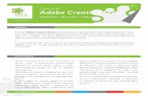 Scheda Corso Adobe Creative Suite - Penta Formazione · 2020-06-08 · fasi del percorso creativo-realizzativo, dalla deﬁnizione di un progetto ﬁno alla realiz-zazione degli esecutivi,
