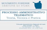 PROCESSO AMMINISTRATIVO TELEMATICO Teoria, Tecnica e SEZIONE DI ROMA PROCESSO AMMINISTRATIVO TELEMATICO