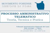 PROCESSO AMMINISTRATIVO TELEMATICO · SEZIONE DI ROMA PROCESSO AMMINISTRATIVO TELEMATICO Teoria, Tecnica e Pratica Tribunale Amministrativo Regionale del Lazio Sala convegni - 1o