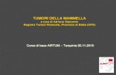 TUMORI DELLA MAMMELLA · TUMORI DELLA MAMMELLA a cura di Adriano Giacomin Registro Tumori Piemonte, Provincia di Biella (CPO) Corso di base AIRTUM –Tarquinia 26.11.2010