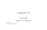 Lezione 14 - My LIUCmy.liuc.it/MatSup/2009/F83221/S.Capri Lezione 14 24 nov.pdf · 2009-11-24 · Lezione 14 I brevetti Cabral 16 e appunti. A cura . Prof. Stefano Capri. Politiche