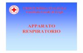 06 Apparato RESPIRATORIO 2013 - Area-c54.it respiratorio_0.pdfAPPARATO RESPIRATORIO CROCE ROSSA ITALIANA Comitato Locale di Cagli. FUNZIONI DELL’APPARATO RESPIRATORIO 1.Apporto di