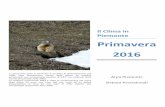 Il Clima in Piemonte Primavera 2016 · 2017-01-19 · Primavera 2016 La primavera 2016 in Piemonte è risultata la diciannovesima più calda nella distribuzione storica delle ultime