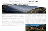 23. 5 motii per visitare la VAltellina nel 2019press-goup.it/profile/valtellina-turismo/comunicati... · PDF file slittino sono pronti ad accogliere i bambini e i loro genitori a