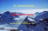 Dr. Andrea Guala - GLNBI · Dr. Andrea Guala la pratica insegna S.O.C. di Pediatria Ospedale Castelli –Verbania A.S.L. VCO Torino 1 giugno 2011