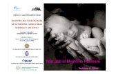 Dott.ssa A. Filice - asmn.re.it · Dott.ssa A. Filice. Incontro multidisciplinare di nutrizione clinica nelle disabilità infantili-Reggio Emilia 23 e 24 gennaio 2009 ... Incontro