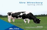 Alta Genetics | Australia - Sire Directory...PTAT 0.76 UDC 0.75 FLC 1.27 Rel 87% Milk 1962Lbs Rel 98% Protein 62 Lbs +0.01% Cheese Merit $ 812 Fat 73 Lbs PL 6.2 DPR 3.6 LIV +2.3 CCR