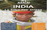Le Tribù dell’ Orissa - Azalai€¦ · kanha Tiger tuli resort Bandhavgarh Nature heritage resort Informazioni Utili . LA QUOTA COMPRENDE: Voli internazionali di linea in classe